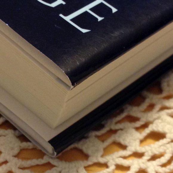 Anne Perry, Death with a Double Edge - Picture 2 of 9